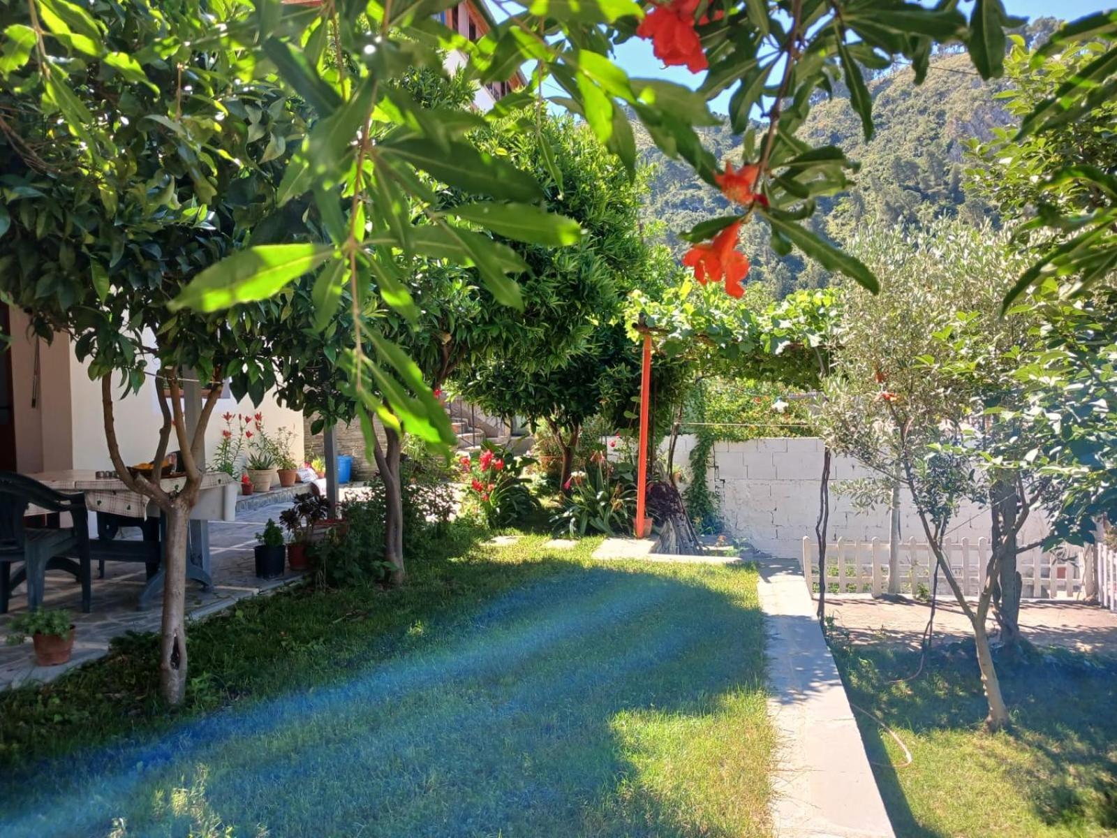 Guest House Noah&Kristel Berat Extérieur photo