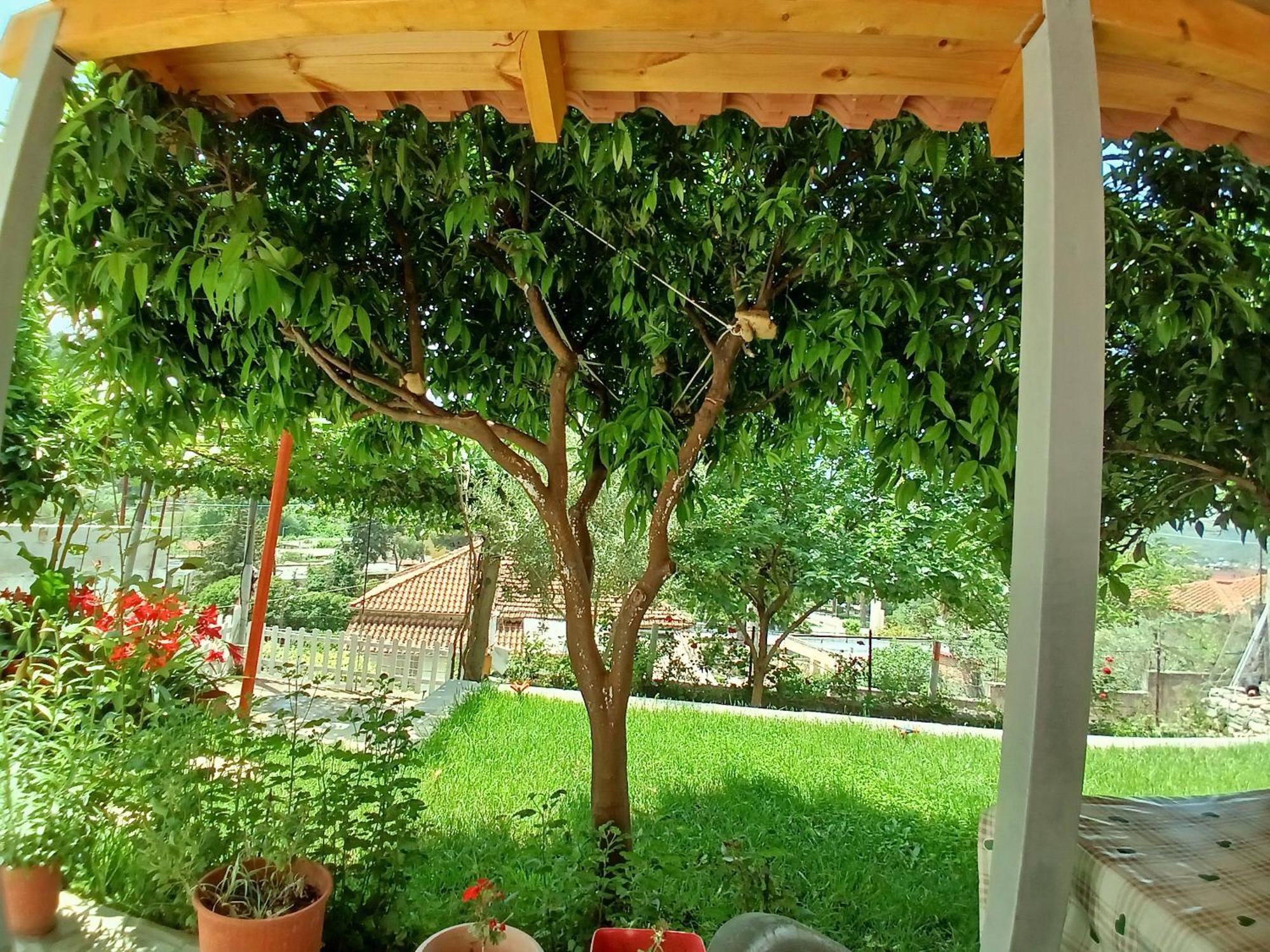 Guest House Noah&Kristel Berat Extérieur photo